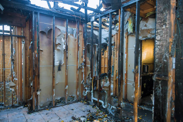 Professional Soot Cleanup technician working in Maysville, MO